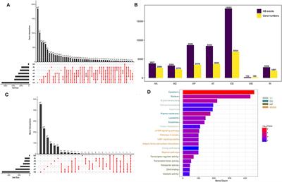 Development of a Nomogram With Alternative Splicing Signatures for Predicting the Prognosis of Glioblastoma: A Study Based on Large-Scale Sequencing Data